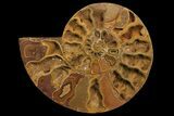 Orange, Crystal Filled, Cut Ammonite Fossil - Jurassic #168534-1